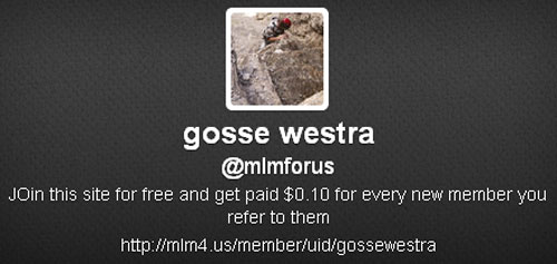 twitter-profile-2011-gosse-westra