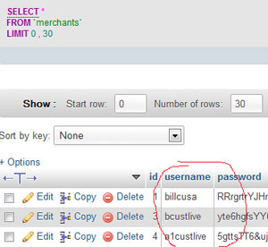 bidsson-database-fake-custome-rmerchant-accounts