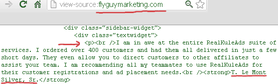 t-lemont-silver-testimonial-fly-guy-marketing