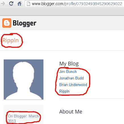 blogger-profile-rippln