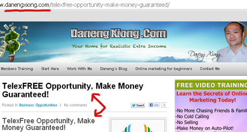 danen-xiong-blog-telexfree-guaranteed-income