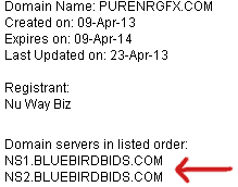 blue-bird-bids-nameservers-pureNRG-fx