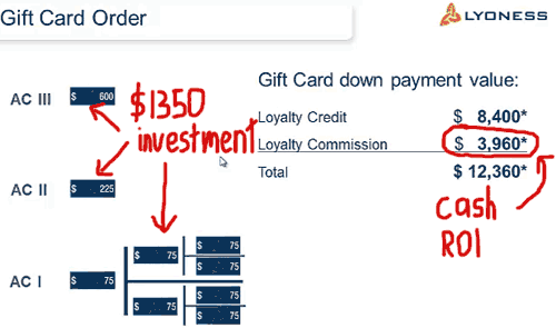 1350-AU-investment-ROI-lyoness-US-corporate-presentation