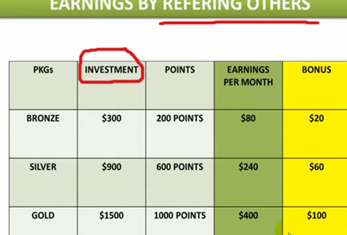 investment-chart-BBOM-compensation-plan