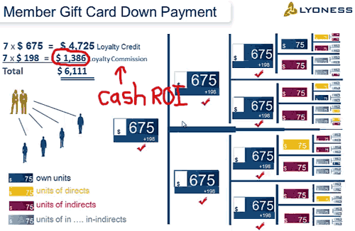 premium-member-cash-roi-lyoness-US-corporate-presentation