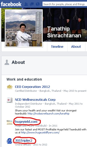 Tanathip-Sinrachtanant-ceo-blissophere-facebook