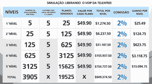 proposed-matrix-business-model-carlos-costa-telexfree