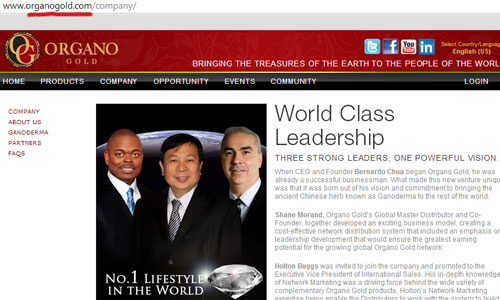 bernie-chua-holton-buggs-shane-morand-organo-gold-website