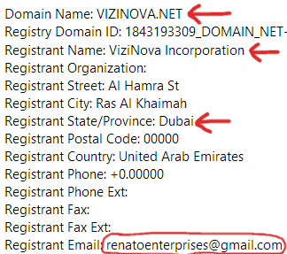vizinovanet-domain-registration