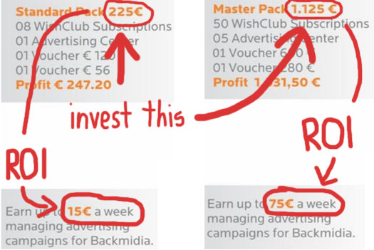 investment-returns-roi-wish-club-compensation-plan