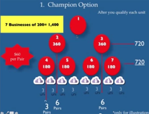 champion-option-mr-link-investment-compensation-plan