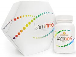 laminine-lifepharm-global