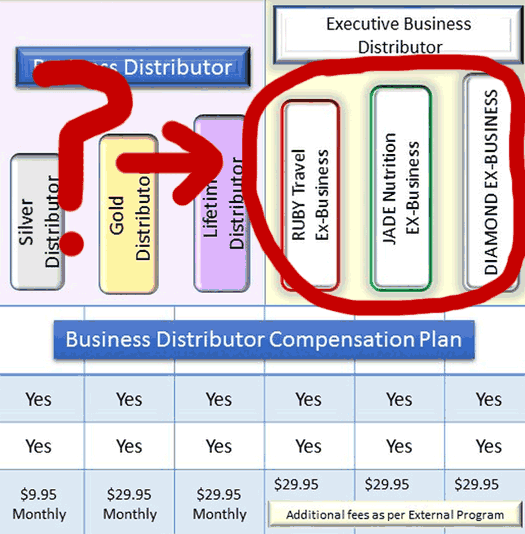 executive-business-distributor-true-vision-global-compensation-plan