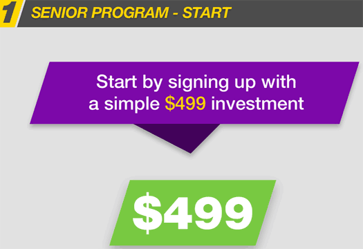 senior-program-investment-eyellows