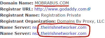 mobrabus-domain-registration-theirishnetworker-nameservers