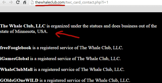 the-whale-club-about-us-page