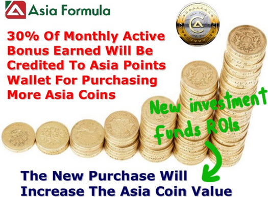 ponzi-points-ROIs-asia-formula-presentation