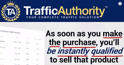 affiliate-purchases-pay-to-play-traffic-authority