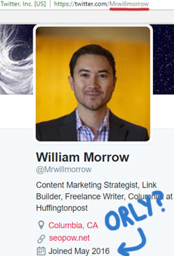 bogus-william-morrow-twitter-profile-onecoin