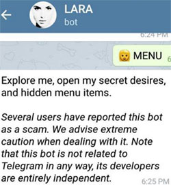 lara-with-me-bot-scam-warning-telegram