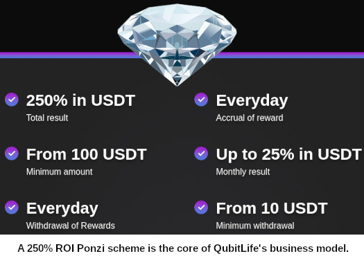 QubitTech Ponzi scheme rebrands as QubitLife